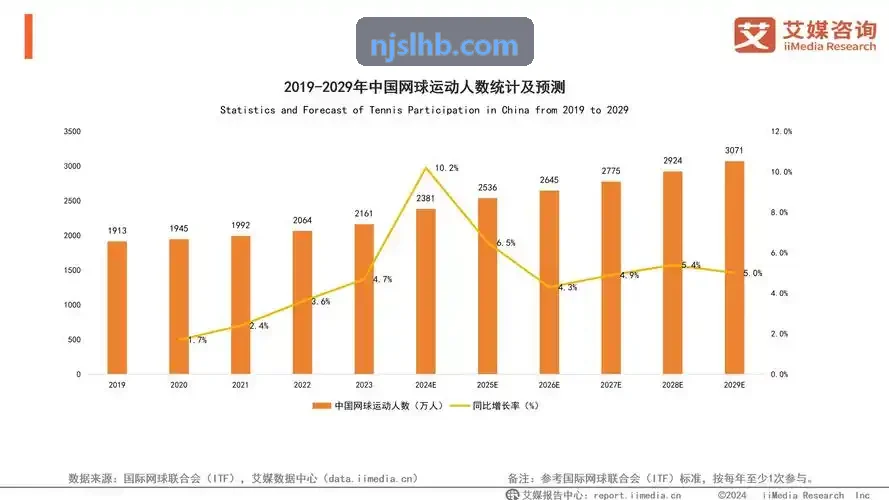BIFA·必发路由器插件与NAT穿透配置说明
